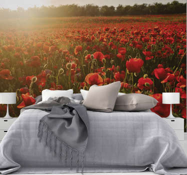 Red poppies sunset nature wall mural - TenStickers