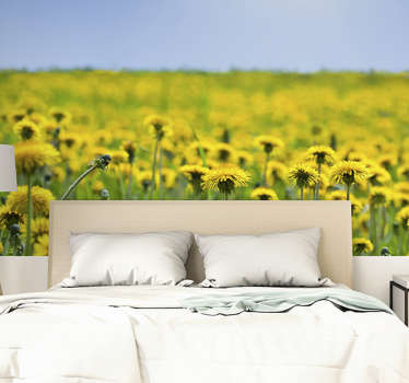 Yellow dandelion field Wall Mural - TenStickers