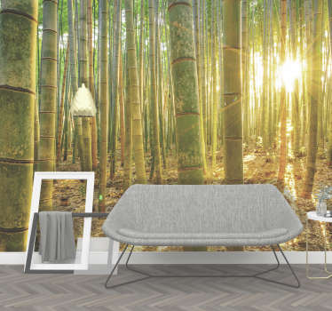 Bamboo forest in sunlight landscape wall mural - TenStickers