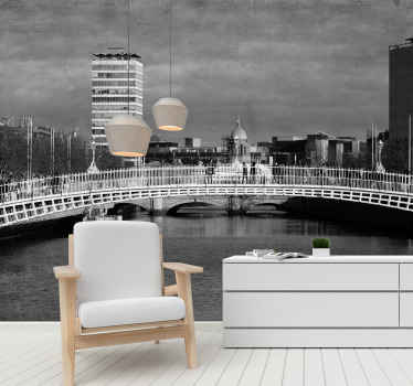 Hapenny Bridge in Dublin wall mural - TenStickers
