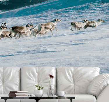 Poro, joka juoksee lumessa valokuvatapetti metsä - Tenstickers