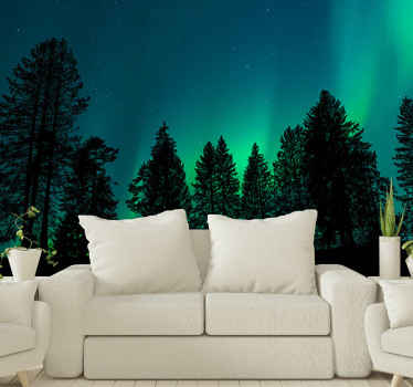 Revontulet puiden yli taivas valokuvatapetti - Tenstickers