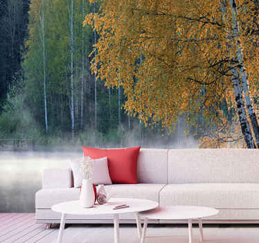 Koivu ja järvi järvi valokuvatapetti - Tenstickers