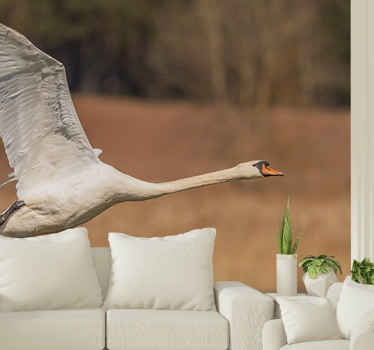 Lentävä joutsen putoaa valokuvatapetti luonto - Tenstickers