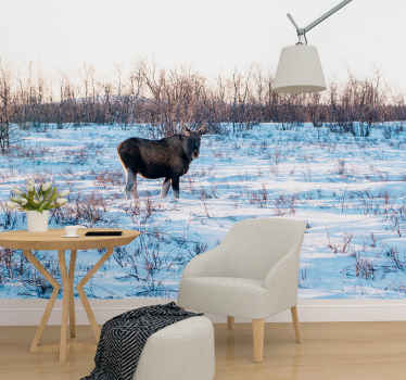 Lappi poroilla. tapetti kuvalla valokuvatapetti luonto - Tenstickers