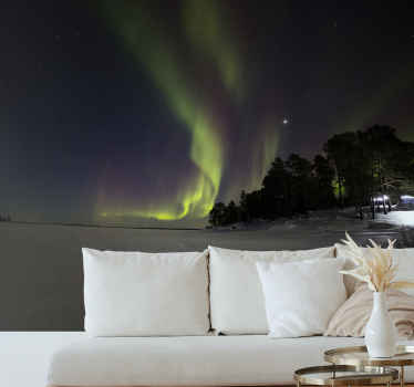 Lumimetsä revontulet tapetti kuvalla valokuvatapetti luonto - Tenstickers