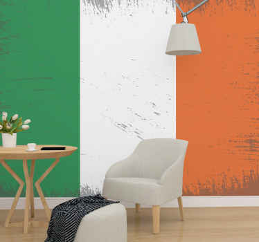 Vintage Irish Flag city wall mural - TenStickers