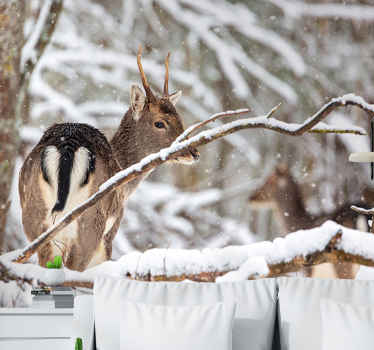 Hirvi puiden välillä valokuvatapetti metsä - Tenstickers