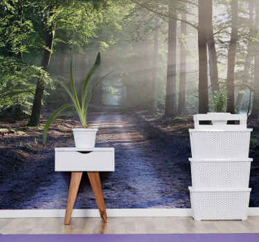 Oplyst skovsti fototapet skov - TenStickers