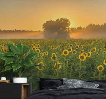 Mural de flores campo de girasoles al atardecer - TenVinilo