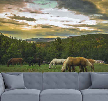 Koně v horách přírody fototapeta - TenStickers