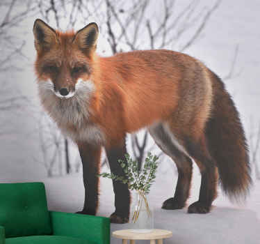 Fototapete Tiere majestätisches fuchsporträt - TenStickers