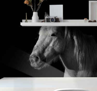 Fototapeta kůň z prázdnoty - TenStickers