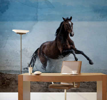 Galloping Horse animal mural - TenStickers