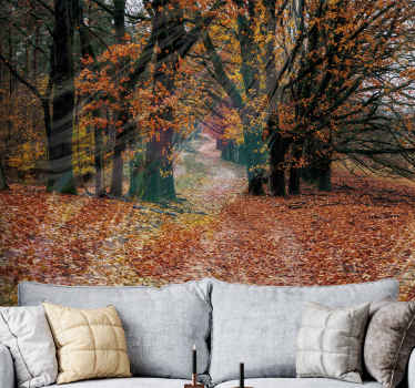 Tapisserie murale forêt sentier d'automne - TenStickers
