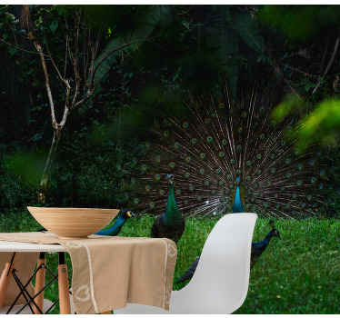 Fotomural naturaleza Pavos reales en el paisaje - TenVinilo