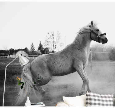 Cavalo branco na parede de pó fotomural vinílico - TenStickers