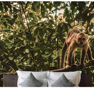 Fotomural animale Monos amazónicos - TenVinilo