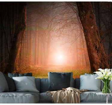 Polert høst skog fototapet - Tenstickers