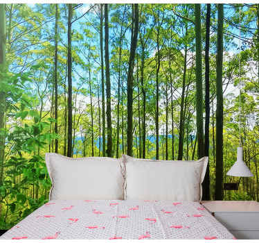 ポーランドの森の白樺自然壁の壁画 - TENSTICKERS