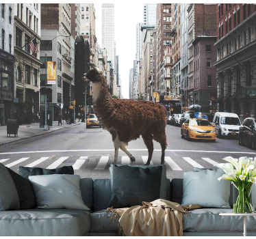 A lama in New York wall mural - TenStickers
