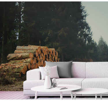 Ormandaki odun yığınları orman duvar resim - TenStickers