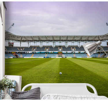 Murales para habitaciones Campo de fútbol - TenVinilo