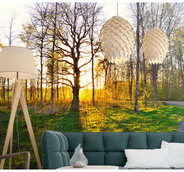 Fotomural naturaleza Parque verde banco - TenVinilo