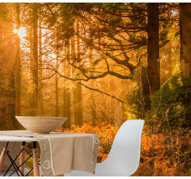 Aydınlatılmış orman manzarası doğa duvar resim - TenStickers
