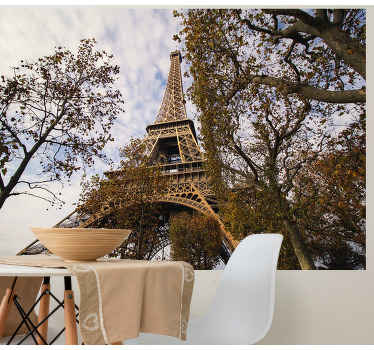 Fototapete Paris Paris mit dem garten - TenStickers