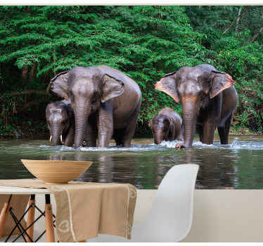 Elephants in Water animal mural - TenStickers