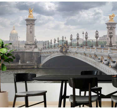 Paris grand bridge  paris wall mural - TenStickers