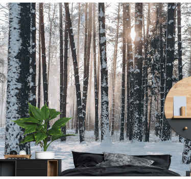 Fototapeta las zimowe lasy sosnowe - TenStickers