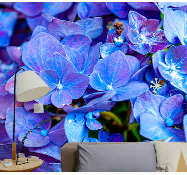Vibrant Hydrangea Blooms flower wall mural - TenStickers