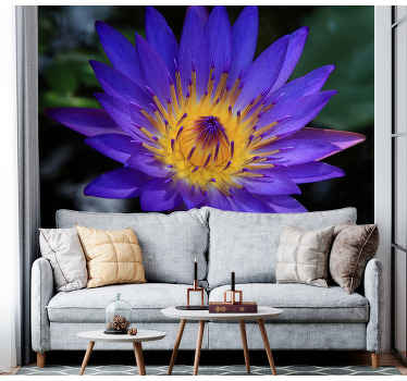 Lilla lotusblomst fototapet blomster - Tenstickers