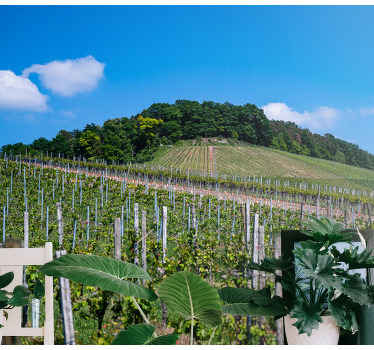 Bor rét jellegű falfestmény - TenStickers