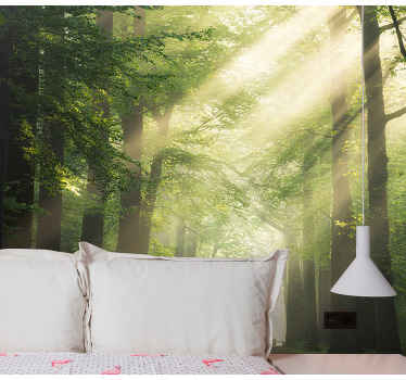 Träd med solen blixt natur fototapeta - Tenstickers