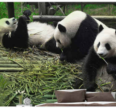 Fotomural animales familia de pandas juguetona - TenVinilo