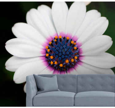 White and purple daisy wall mural - TenStickers