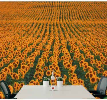 Long sunflower field wall mural - TenStickers