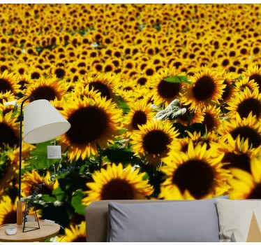Sunflower field close flower wall mural - TenStickers