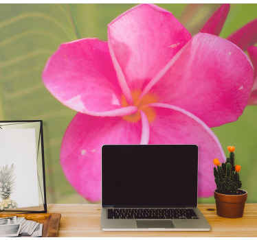 Rózsaszín virágos falfestmények - TenStickers