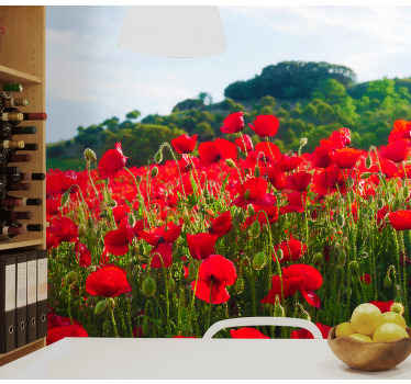 Fotomural de amapolas Campo de amapolas rojas y verdes - TenVinilo