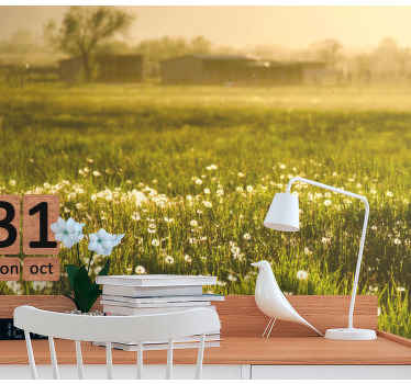 민들레 큰 들판 민들레 벽화 - TenStickers