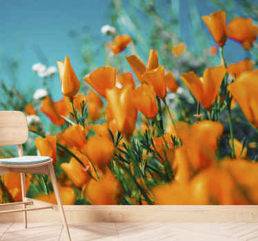 Orange flower field wall mural - TenStickers