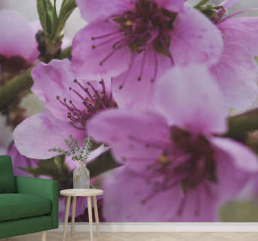 Murais de Parede Lindas flores rosa - TenStickers