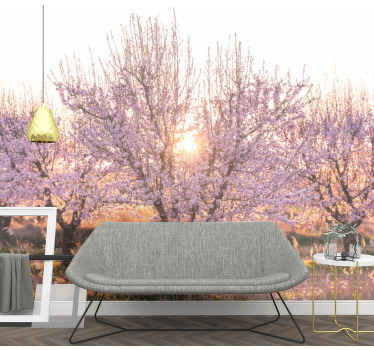 Fototapet blomster blomstrende kirsebærtræer - TenStickers