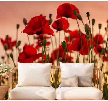Poppies with a sunset Poppy Wall Mural - TenStickers