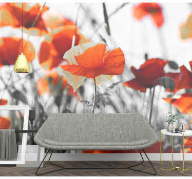 Poppy flowers red black Poppy Wall Mural - TenStickers