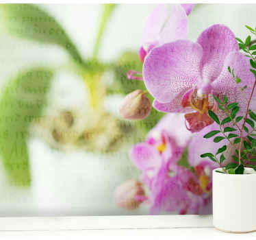 Fotomural decorativo Orquídea con texto - TenVinilo